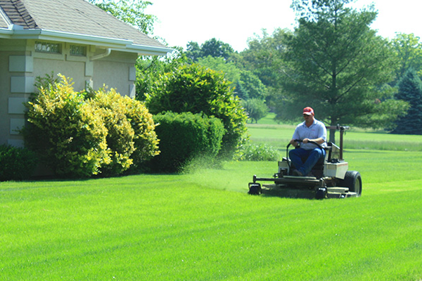 Affordable lawn care.