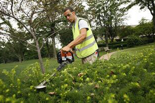 Healthy landscapes. Guaranteed.