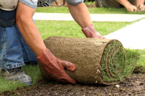 Don’t be sod, we’re here now!