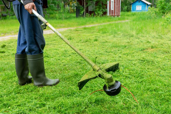 Mowing down the competition.