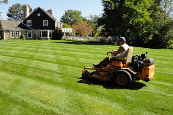 Mowing down the competition.